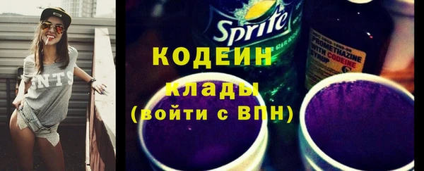шишки Белокуриха