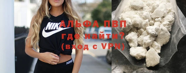 шишки Белокуриха
