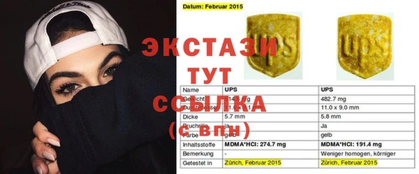 шишки Белокуриха