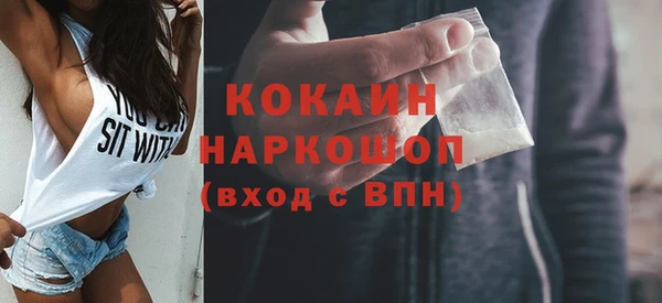 шишки Белокуриха