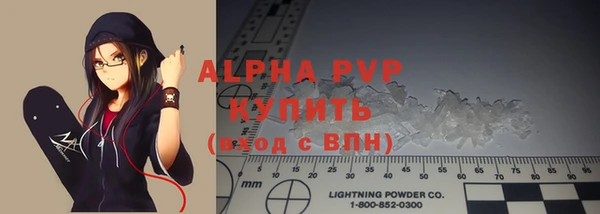 шишки Белокуриха