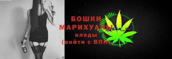 шишки Белокуриха