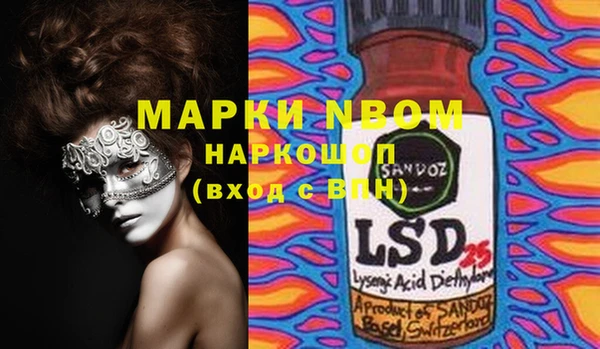 шишки Белокуриха
