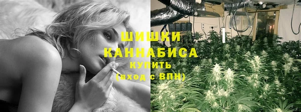шишки Белокуриха
