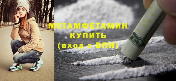 шишки Белокуриха
