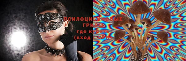 шишки Белокуриха