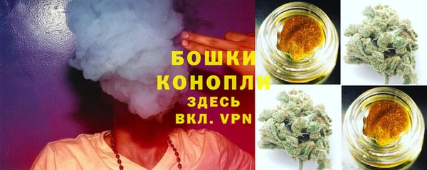 шишки Белокуриха