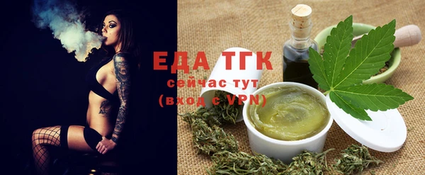 шишки Белокуриха
