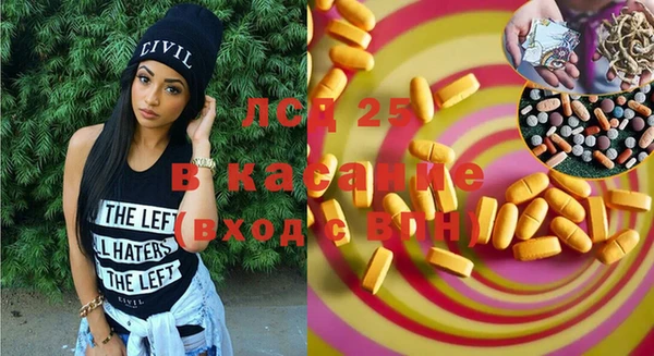 шишки Белокуриха