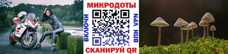 мега ссылка  Цимлянск  Галлюциногенные грибы мухоморы  купить  цена 